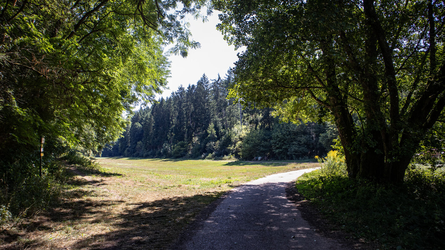 Schattiger Weg am Waldrand mit Blick auf eine offene Wiese und dichten Nadelwald im Hintergrund