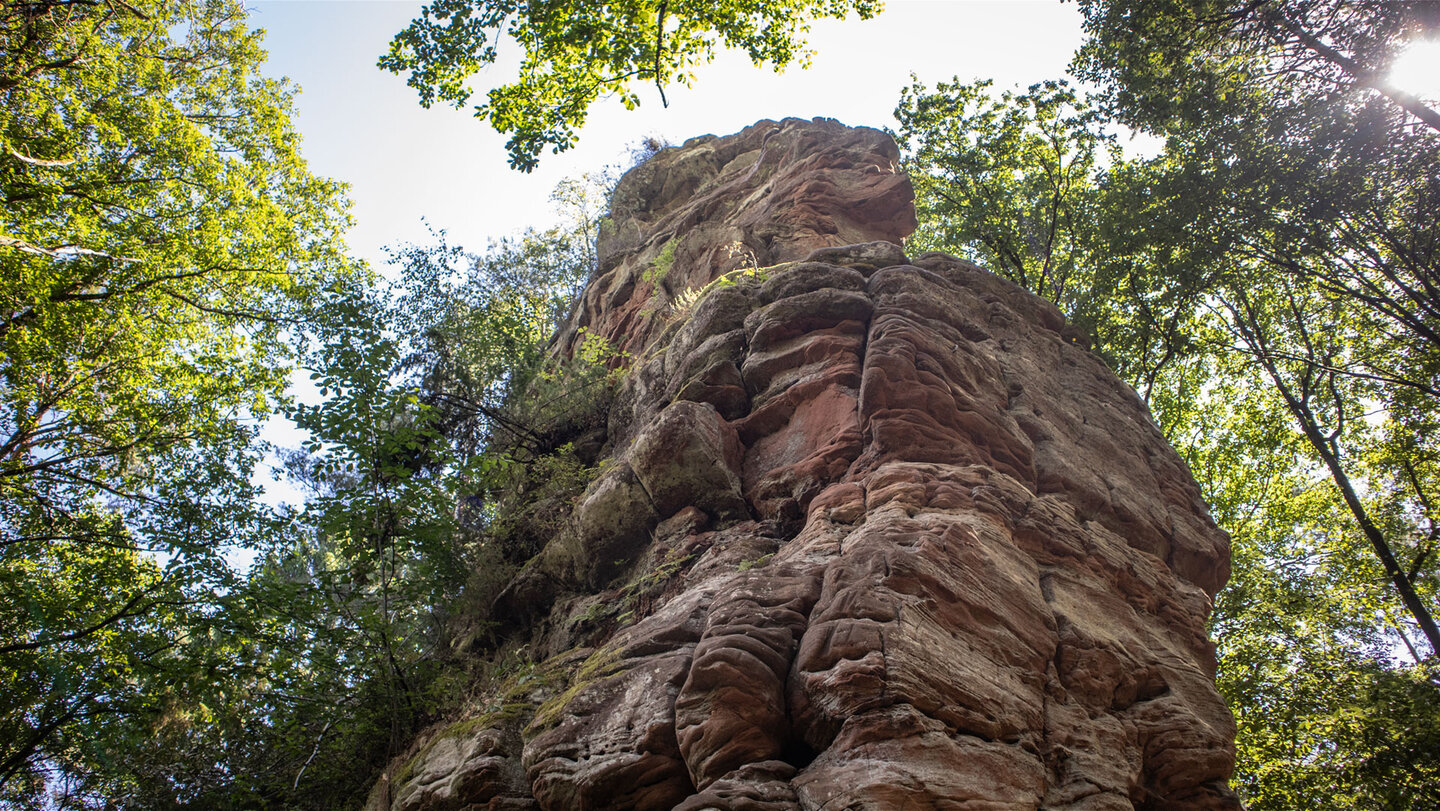 Steil aufragender Buntsandstein-Klettergipfel an den Schafsteinen, sonnenbeschienene Felswand mit deutlicher Schichtung, Laubwald im Hintergrund