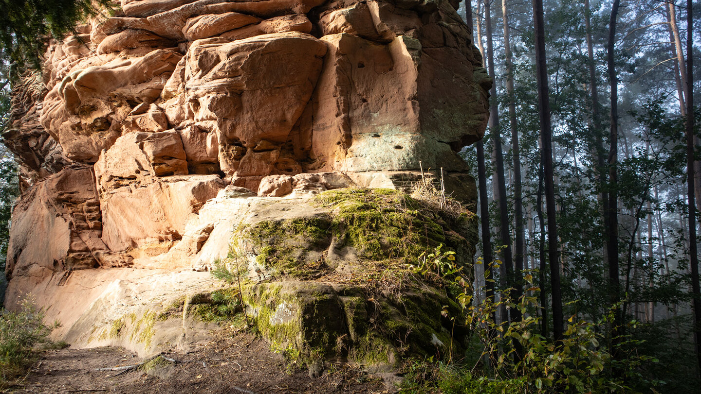 Nahaufnahme des Großen Zimmerbergfelsens mit Verwitterungsformen und Moospolstern, warmes Sonnenlicht auf dem Sandstein