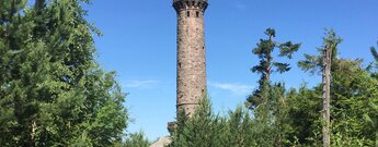 der Friedrichsturm auf der Badener Höhe