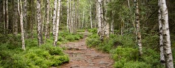 Wanderweg zur Teufelsmühle