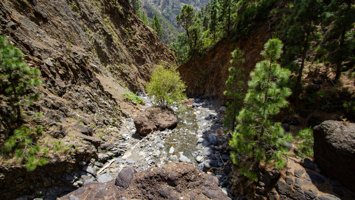 die Schlucht des Gebirgsbachs Rio Almendro Amargo