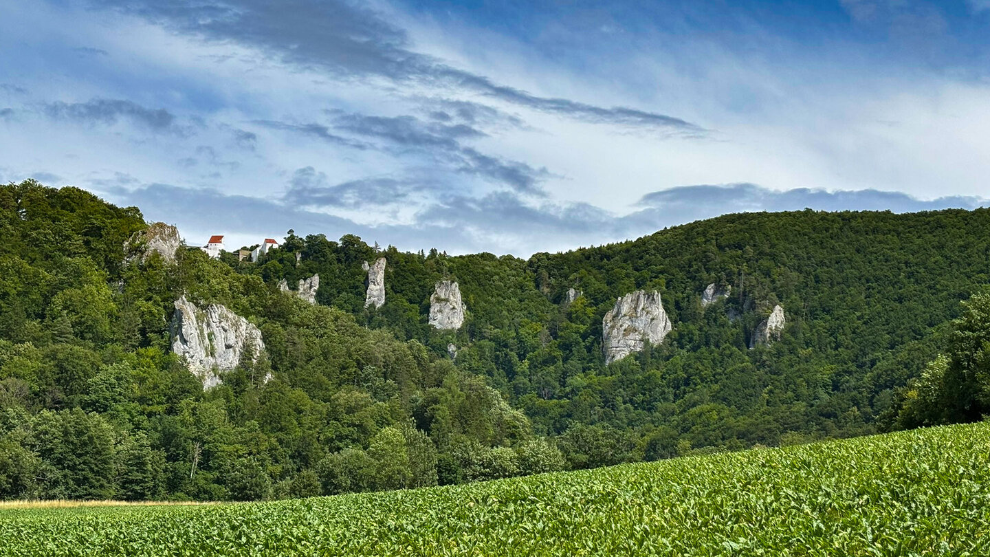 Burg Wildenstein thront auf den Felsen des oberen Donautals