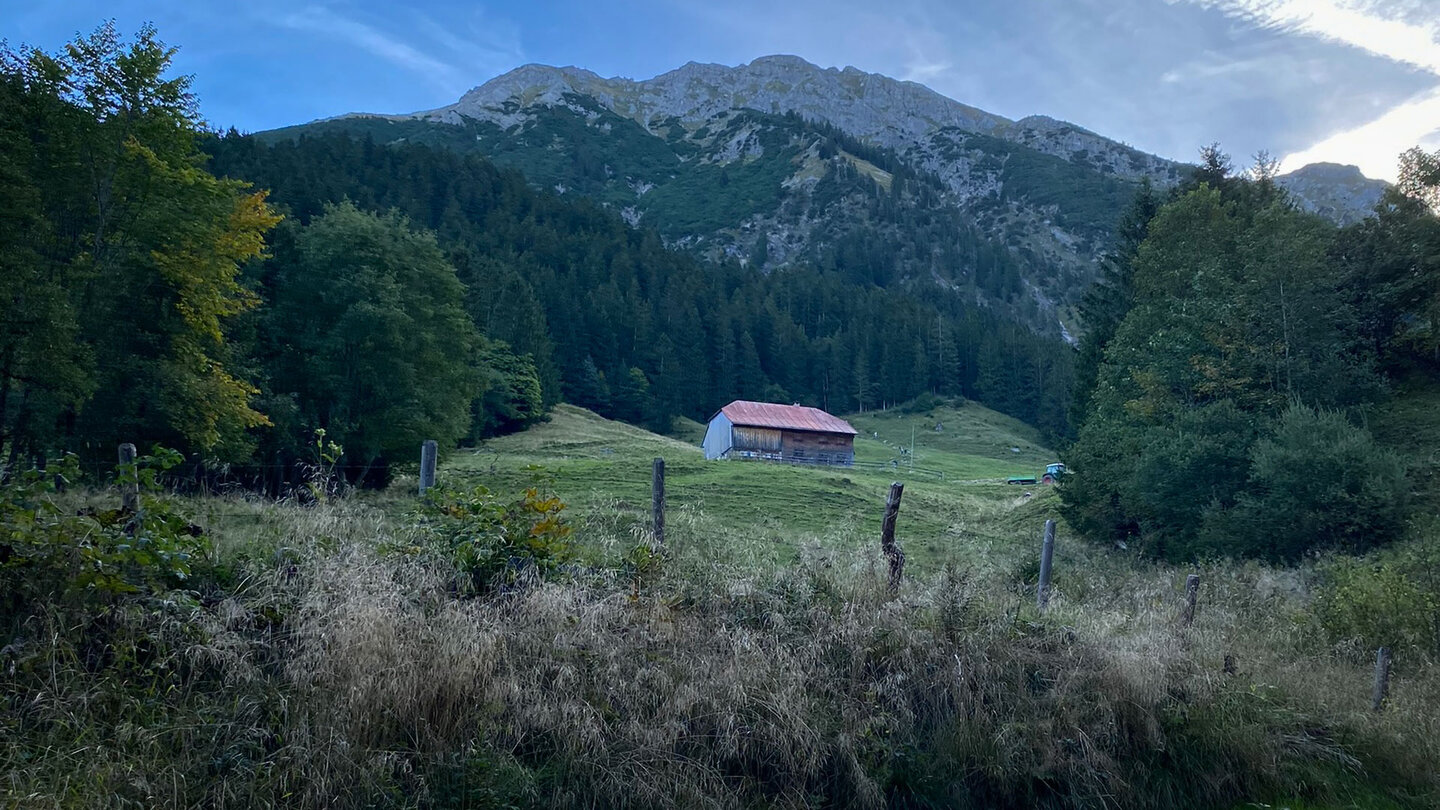 Almwiese am Wanderweg zum Rubihorn Almwiese am Wanderweg zum Rubihorn
