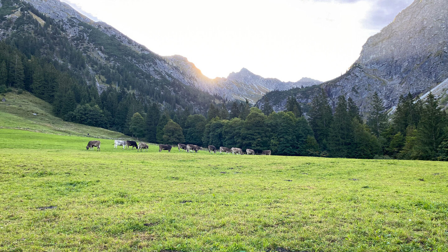 Blick über die Weide Blick über die Weide