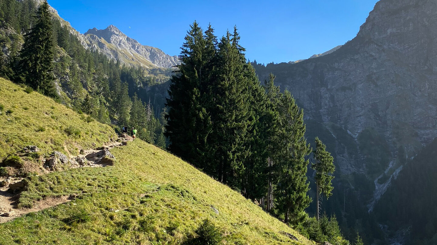 der Wanderweg führt weiter über eine Almwiese Wanderweg führt weiter über eine Alm