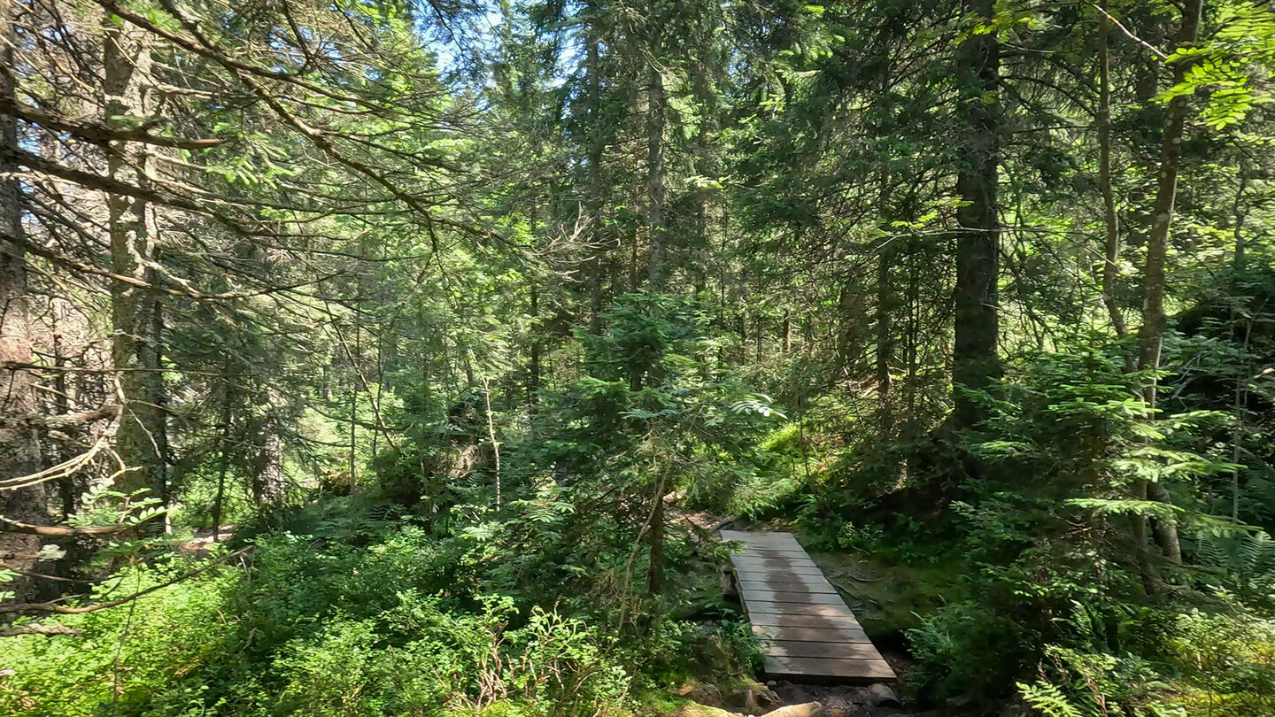 der Sägenbachschlag-Steig führt entlang des Sägenbachs und der Wasserfälle