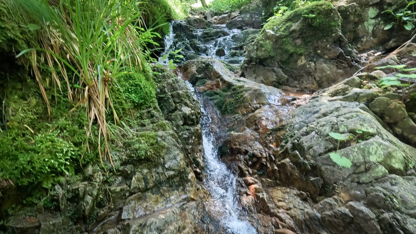 in Kaskaden fällt der Sägenbach durch die Schlucht am Feldberg