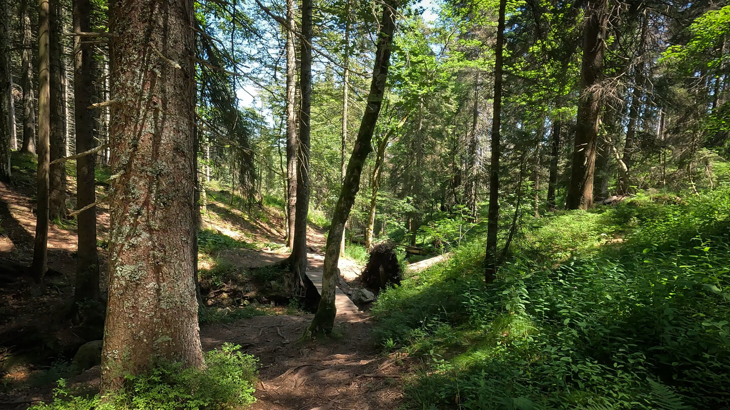 an einigen Stellen helfen hölzerne Brücken bei der Querung des Sägenbachs