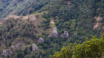 kleinere Vulkanschlote im Lorbeerwald