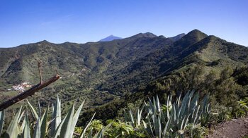 der Monteverde des Teno mit dem Berg Cruz de Gala und dem Teide