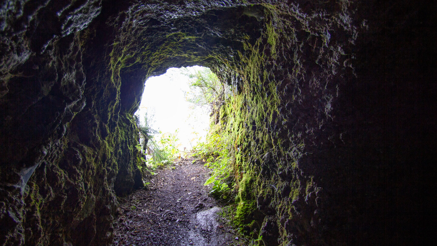 Fenster im Tunnel