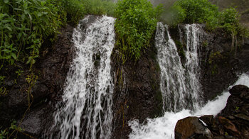 sprudelnde Wasserläufe an den Marcos y Cordero Quellen