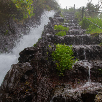Wasser auf den Treppen des Wanderwegs im Quellgebiet