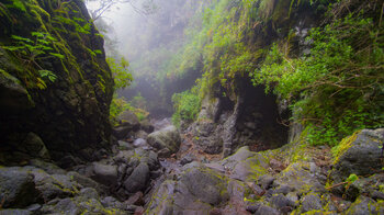 Wanderwegs durch die Schlucht Barranco del Agua