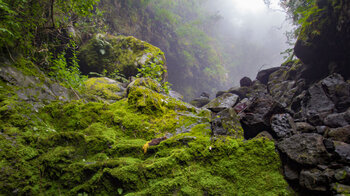 Nebel in der Schlucht Barranco del Agua