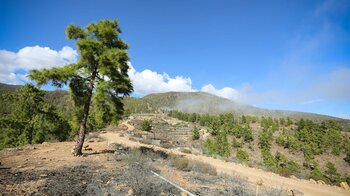 Abwanderung zum Base-Camp Ortiz über einen Fahrweg