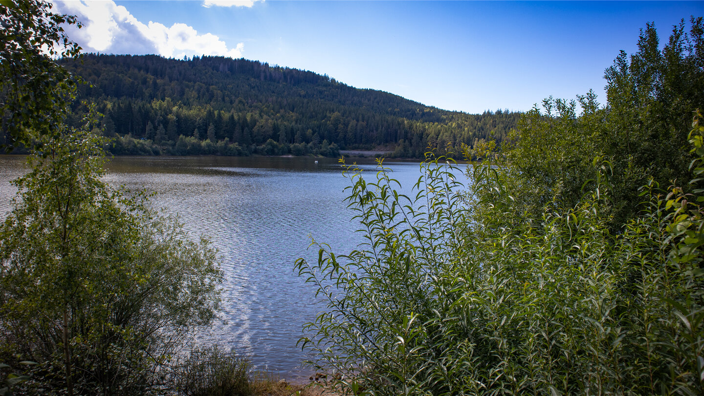 Schwarzenbach-Talsperre inmitten dichter Wäldern