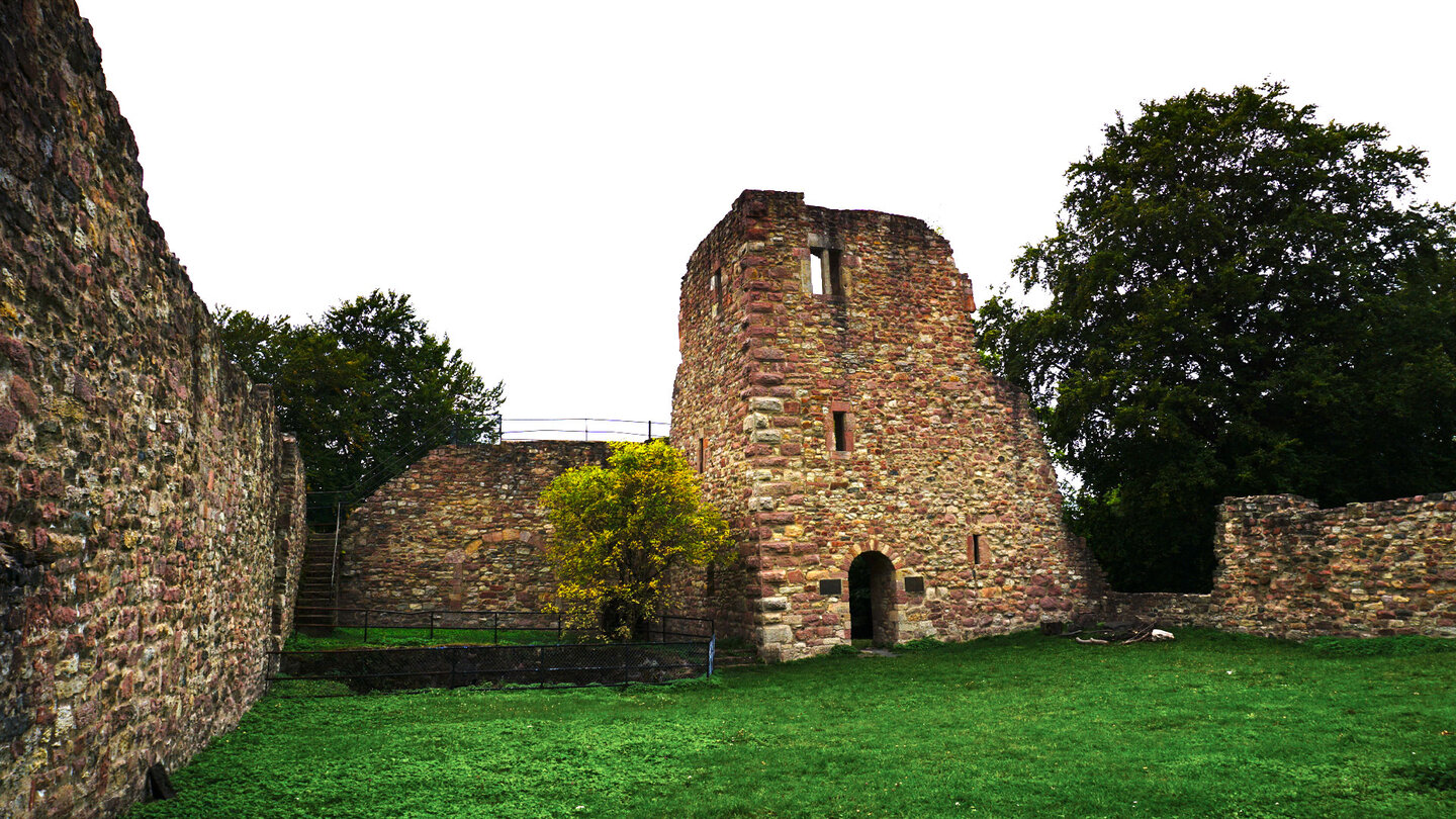 Burg Steckelberg auf dem Alteburgberg bei Ramholz Burg Steckelberg auf dem Alteburgberg