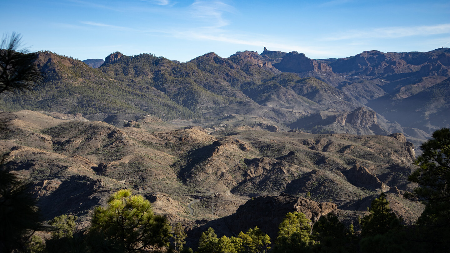 Ausblicke auf den Roque Nublo begleiten die Wanderung