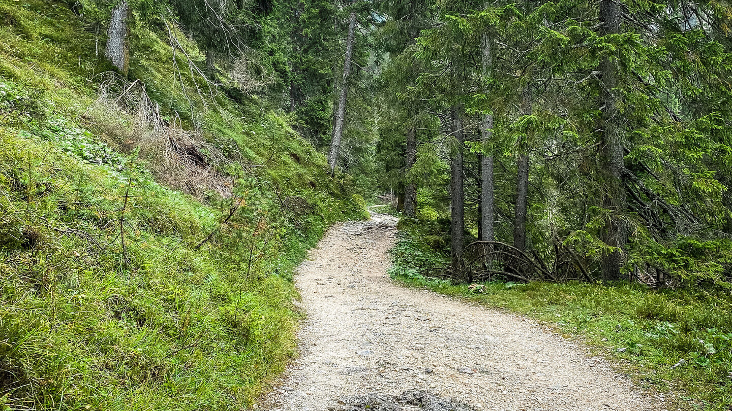 am Wanderweg zur Grasleitenhütte