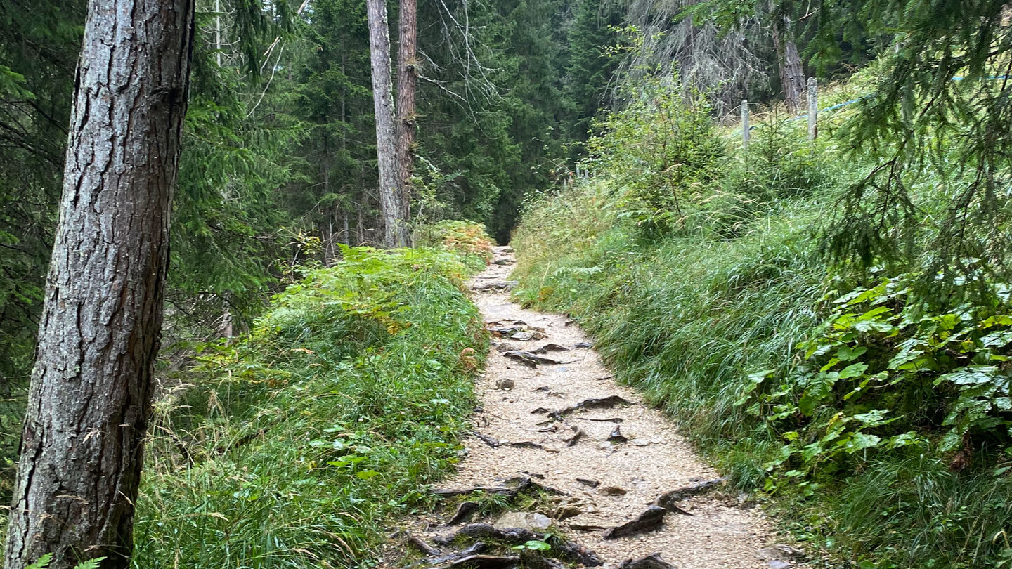 Wanderpfad ins Tschamintal