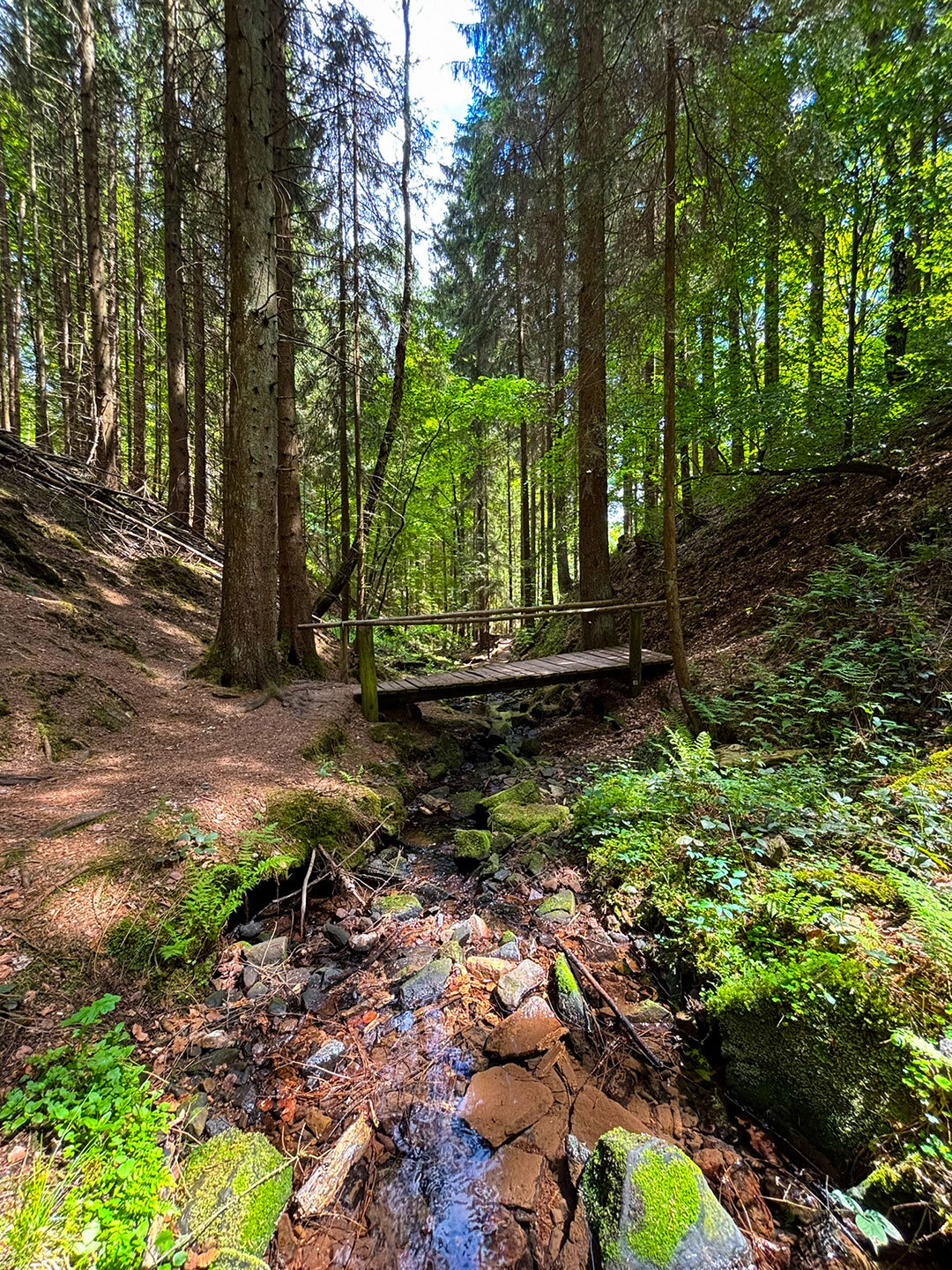 Holzbrücke quert den Lochbach