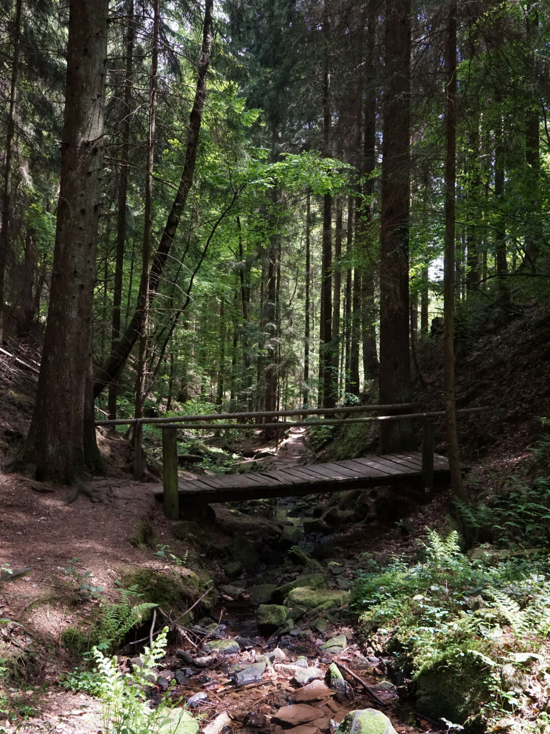 in der Lochbachklamm gibt es einige Brücken zum Queren des Bachs