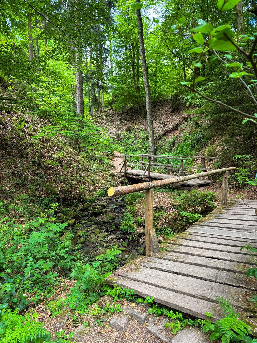 Wegabschnitt mit zwei Holzbrücken hintereinander