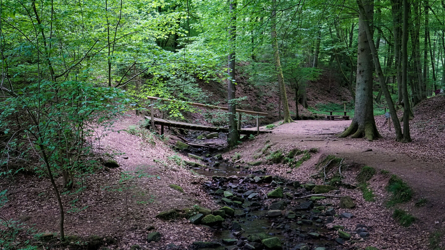 Wanderpfad entlang des Lochbachs mit Rastplatz hinter der Holzbrücke
