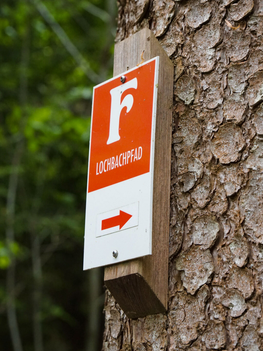Wegweiser zum Lochbachpfad