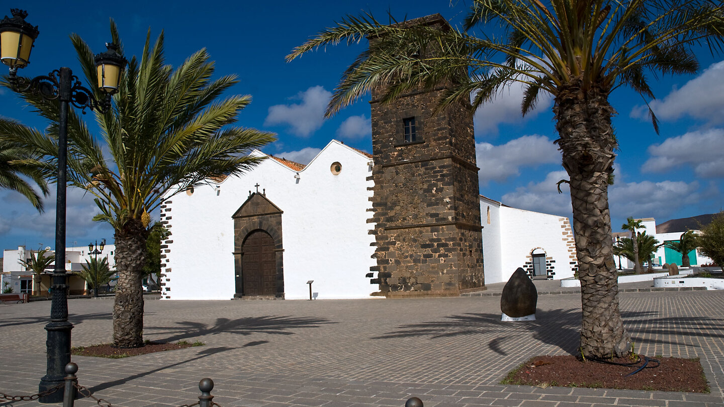 Palmen an der Plaza de la Iglesia in La Oliva auf Fuerteventura
