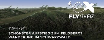 Schönster Aufstieg zum Feldberg? – Wanderung im Schwarzwald – Flyover