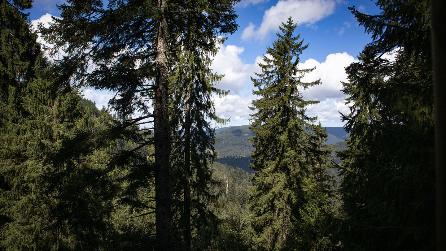 Ausblick von der Teufelskanzel belohnt die Mühen des Aufstiegs