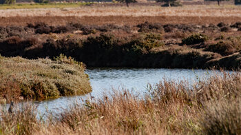 Río Salado bei Conil de la Frontera