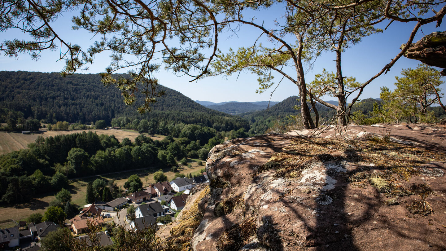 Blick vom flechtenbedeckten Felsplateau des Bänderfelsens über Erfweiler mit Häusern und Wiesen im Tal, dahinter bewaldete Bergrücken unter blauem Himmel mit Kiefernästen im Vordergrund