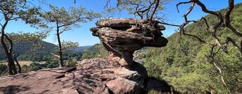 Felsformation am Bänderfels am Hahnberg mit breitem Felsplateau im Vordergrund, pilzförmigem Felstürmchen und knorrigen Kiefernästen ringsum