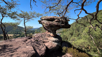 Felsformation am Bänderfels am Hahnberg mit breitem Felsplateau im Vordergrund, pilzförmigem Felstürmchen und knorrigen Kiefernästen ringsum