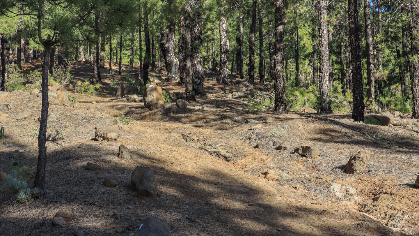 Abwanderung zum Cruz del Llano