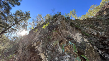 Felsflanken unter dem Bergrücken Lomo del Pino