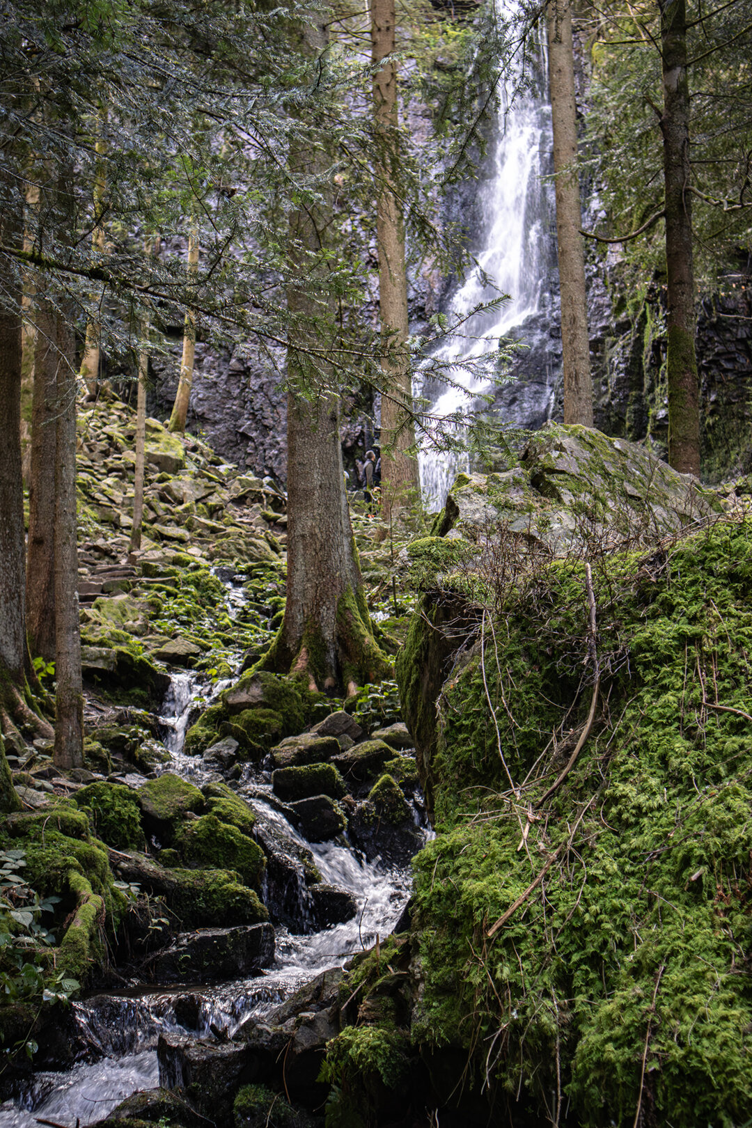 Burgbach auf dem Genießerpfad Klösterle Schleife