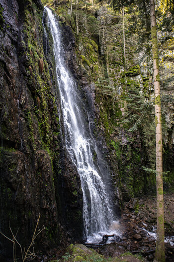 Wanderung im Wolftal zum Burgbachwasserfall