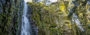 Burgbachwasserfall im Schwarzwald