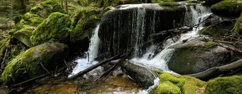 Felsbrocken im Gertelbach