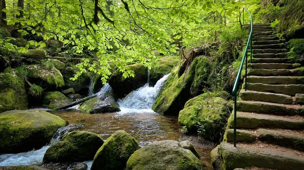 Steintreppen auf dem Gertelbacher Rundweg