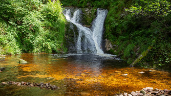 Wasserbecken der Allerheiligen Wasserfälle im Schwarzwald