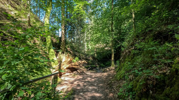 das Gottschlagtal folgt dem Bach zu den Edelfrauengrab-Wasserfällen