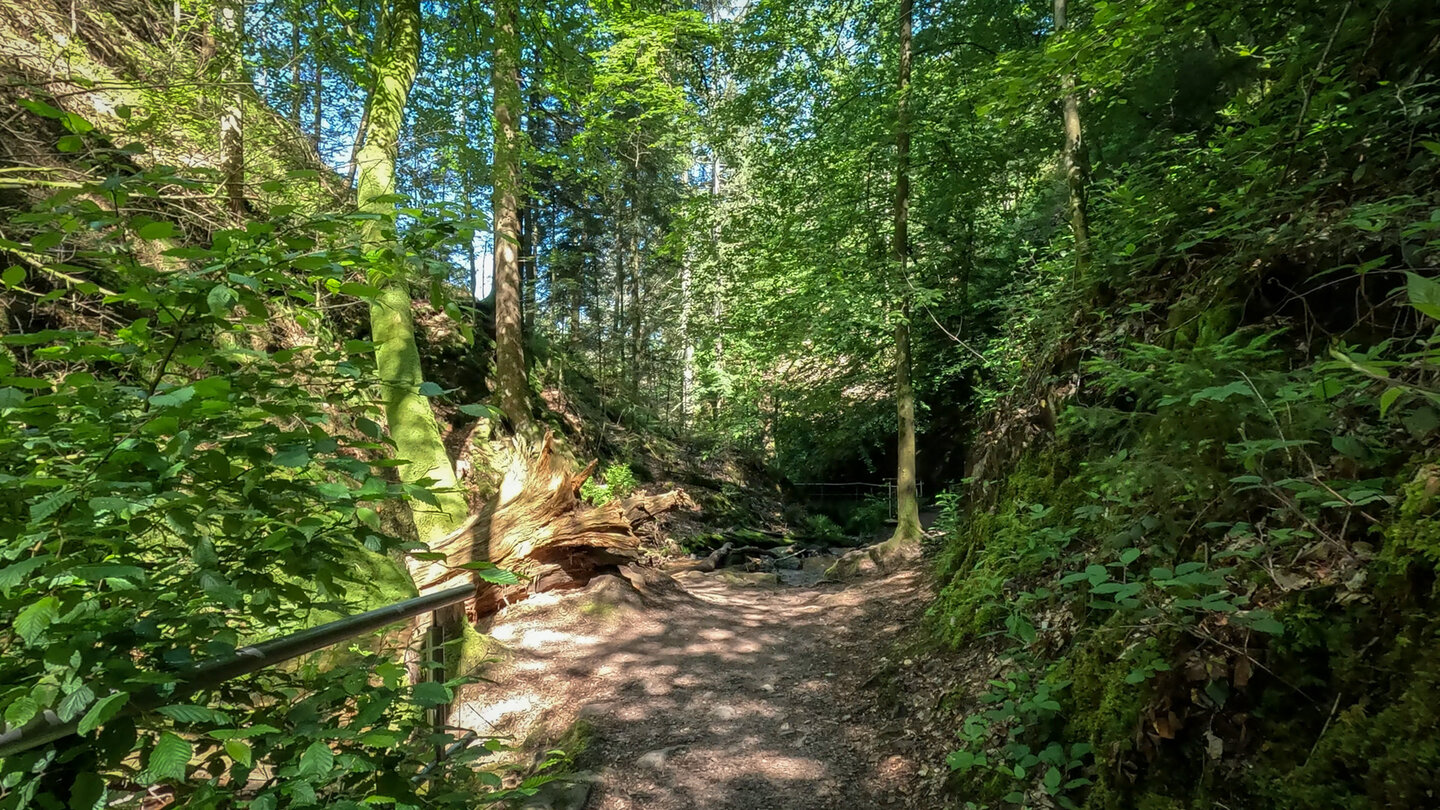 das Gottschlagtal folgt dem Bach zu den Edelfrauengrab-Wasserfällen