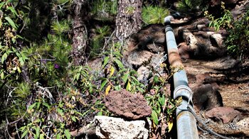 Wanderweg durch Kiefernwald entlang Wasserleitungen