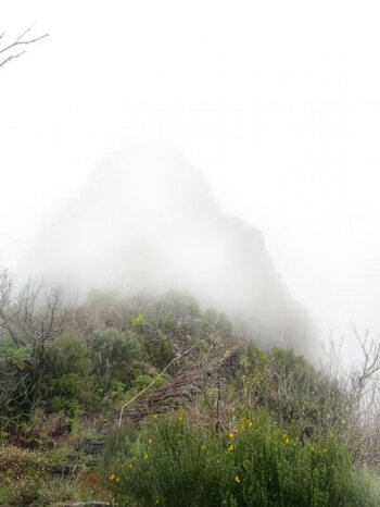 die Gipfel Madeiras hüllen sich in Wolken